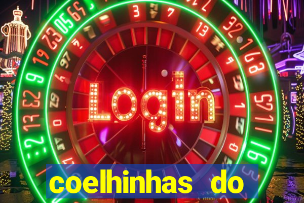 coelhinhas do brasil jp